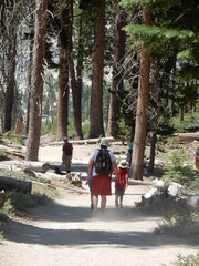 Father and Sons Walking along a Mountain Trail in Mammoth California in the Sierra Mountains