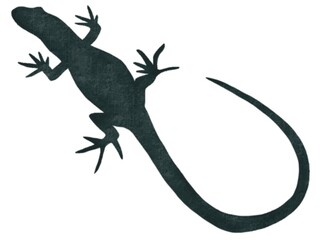 爬虫類　トカゲ