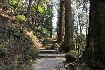 室生寺とシャクナゲ