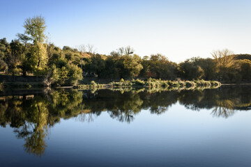Fototapeta na wymiar Paisaje simétrico en el estanque del río. Reflejos del bosque sobre la laguna.