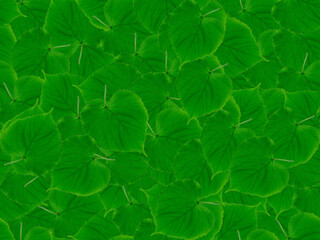 Green leaves seamless pattern. Green leaves are rounded, overlapping. Seamless natural green pattern.Natural background.