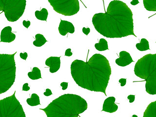 Green leaves seamless pattern. Green leaves of rounded shapes in different sizes on a white background. Seamless natural green pattern.Natural background.