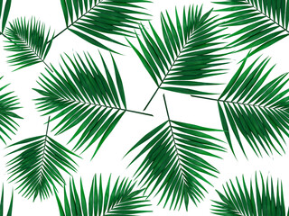 Green leaves seamless pattern. Green leaves of a palm tree on a white background. Seamless natural green pattern.Natural background.