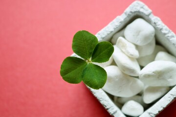 四つ葉のクローバー　幸運