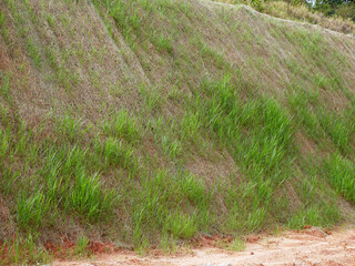 Permanent slope protection with the natural grass using the hydroseed method. The grass used to stabilizes the slope structure and prevent slope erosion. Effective and less maintenance. 
