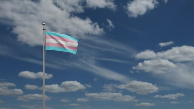 3D Transsexuality flag waving on wind with blue sky. Transsexual banner blowing, soft and smooth silk. Cloth fabric texture ensign background. Use it for pride gay day and events concept.-Dan
