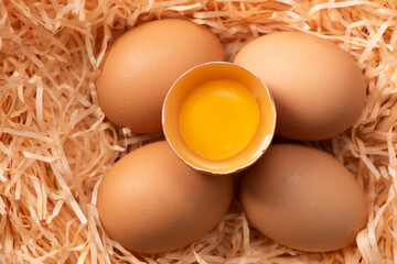 raw chicken eggs with broken egg in nest