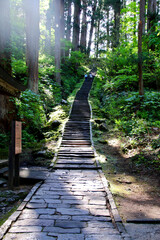 Obraz premium 羽黒山・継子坂（山形県・鶴岡市）