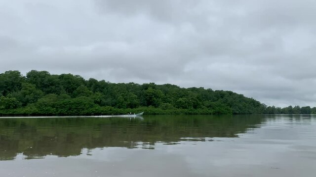 Colombian Pacific mangroves - Tumaco Colombia IV