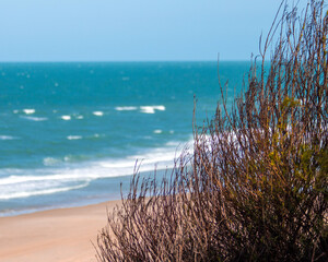 Fototapeta na wymiar dunes and sea