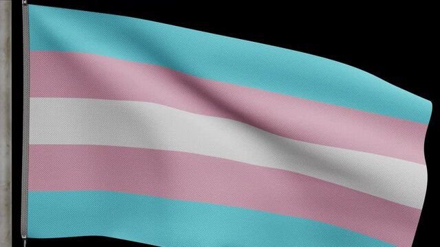 Trans Ftm Background Transmen Transgender bilder – Bläddra bland 9,497 stockfoton, vektorer ...