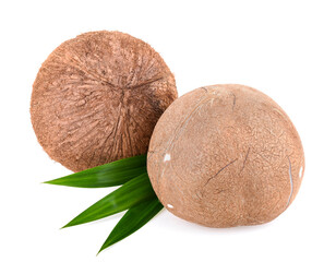 Coconut isolate on white background.