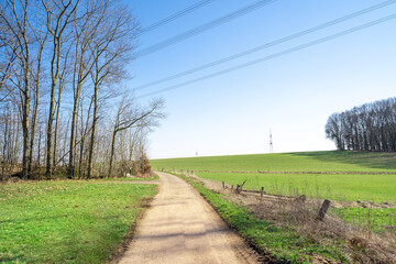 Fototapeta na wymiar Path between fields in the landscape