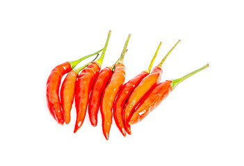 Chili on a white background