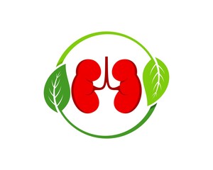 Circular nature leaf with healthy kidney inside