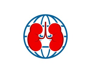Abstract globe with healthy kidney inside