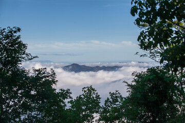 Fototapeta na wymiar Fog covering the mountain at Pa hin ngam national park view point, Chaiyaphum, Thailand.