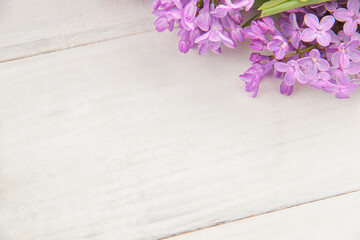 Closeup branch of blooming lilac on white rustic wooden surface. Space for product or text on foreground. Purple flowers wallpaper