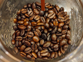 coffee beans in a cup