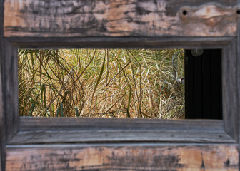 Textura de madera vieja de ventanas y puertas desgastada por el tiempo con grietas y clavos oxidados