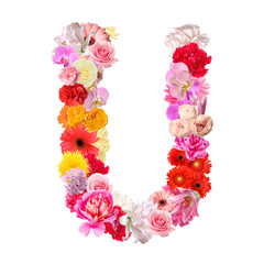 Letter U made of beautiful flowers on white background