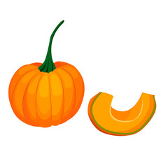 pumpkin, orange round pumpkin whole and piece. vector isolated on a white background.