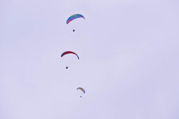 paragliders soar high in the sky