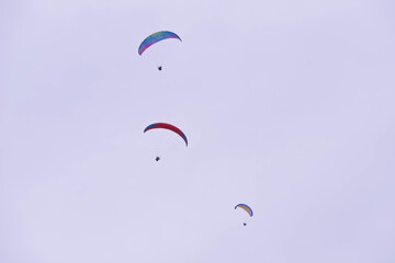 paragliders soar high in the sky