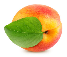 Apricot with apricot leaves isolated