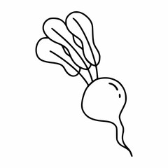 Beetroot in doodle style. Coloring book for kids with vegetables.