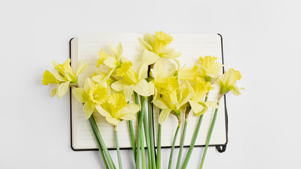 fresh yellow spring flowers on a white table. workspace with an open notebook. simple flat lay, long banner