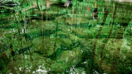Clear river with green rocks and trees above the water surface, Nature leaves shadow over the river in the dark forest