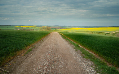 Footpath along the Wolds flanked by farmland. Sledmere, UK.