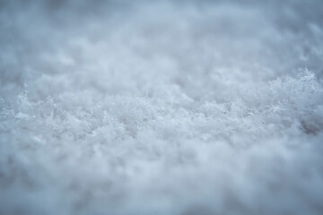 Closeup of snow structure. White natural geometric figures made of water. Crystals on a cold winter day. Selective focus on the flakes, blurred background.