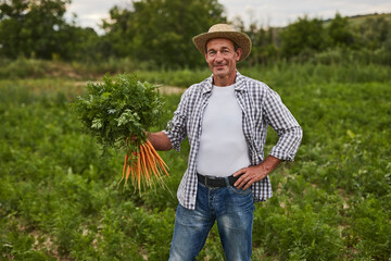 Cheerful farmer with fresh carrots in field