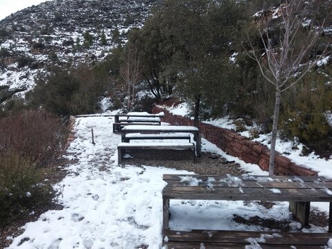 hojas, verde, flor, naturaleza, blanco, &aacute;rbol, nieve, primavera, hojas, aislada, rojo, vida, brotar, floral, de invierno, acrecentar, olesa de montserrat, barcelona, montserrat, supervivencia, luchar,