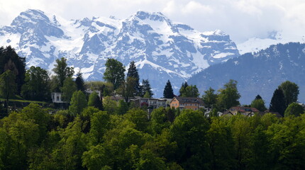 Fototapeta na wymiar suisse centrale...région de lucerne