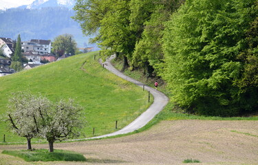 jogging