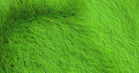 Background of green grass swaying in the wind 3D.
