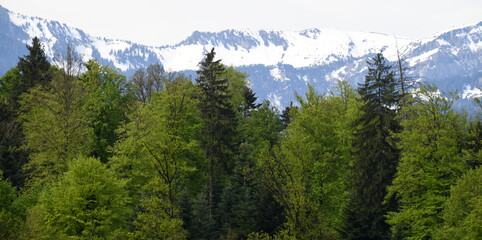 Fototapeta premium suisse centrale...région de lucerne