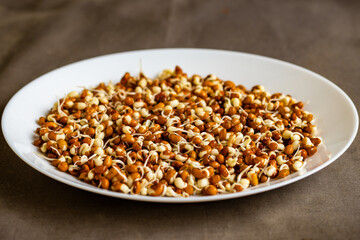 Soaked sprouted Red Lobia unpeeled