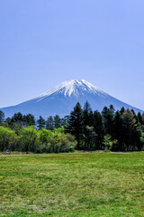 静岡県朝霧高原からの富士山