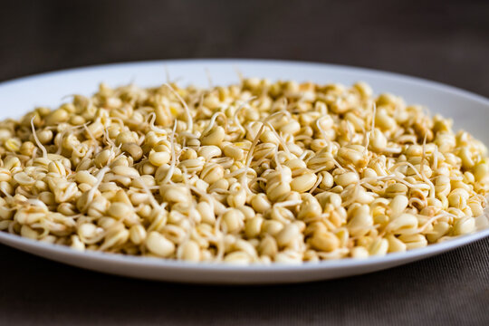soaked sprouted peeled red lobia