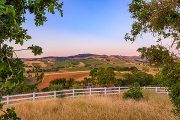 Landscape at a vineyard in the spring in Napa Valley, California, USA