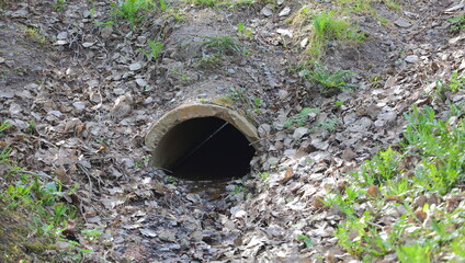 Old concrete drainage pipe in a ditch