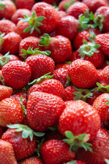 たくさんのイチゴ