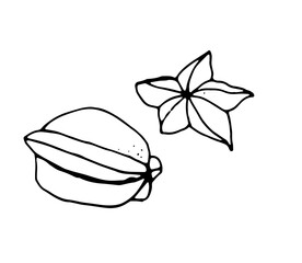 carambola, black outline drawn by pen