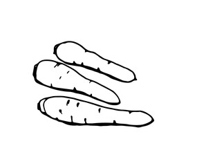 carrots, black outline drawn with a pen