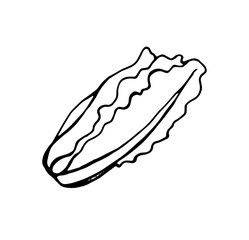 Chinese cabbage, black and white 