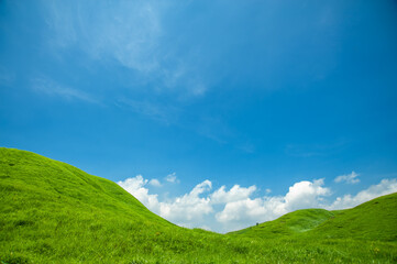 Fototapeta premium 新緑の草原と夏の空